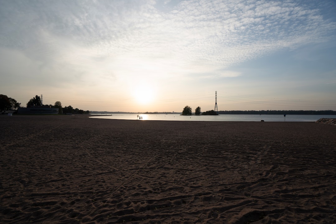 a sandy beach with trees in the background