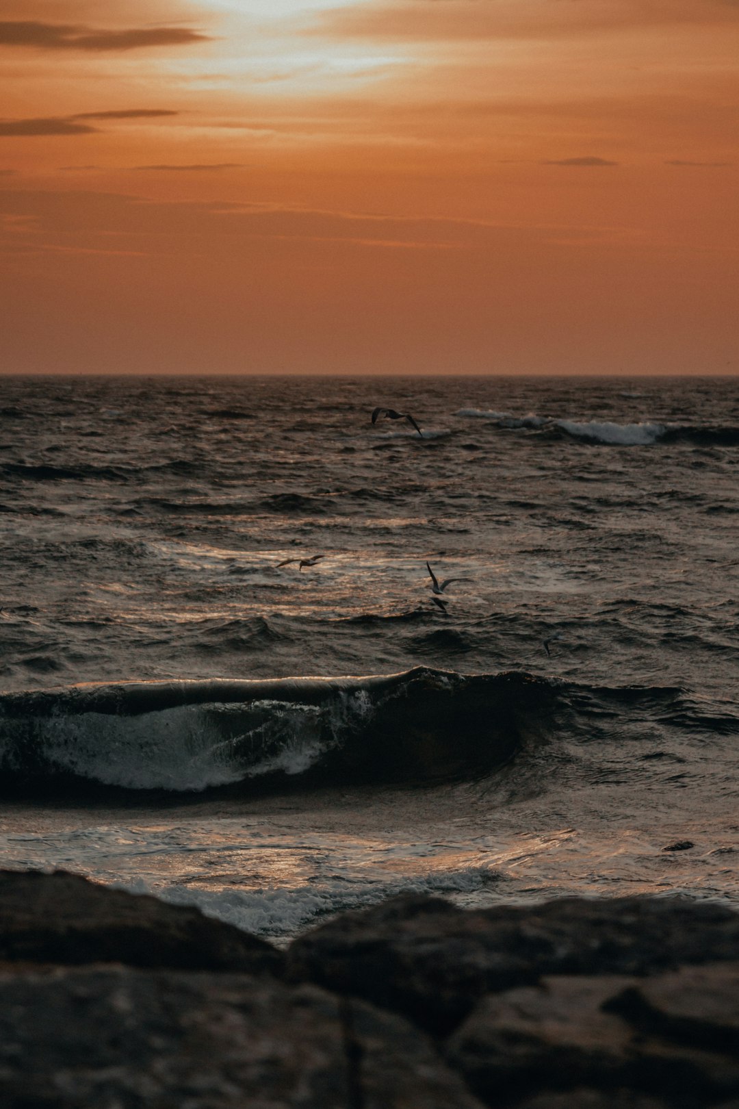🎉 Conclusion: Ride the Wave to a Healthier Heart! by Fitness and Nature person surfing on sea waves during sunset