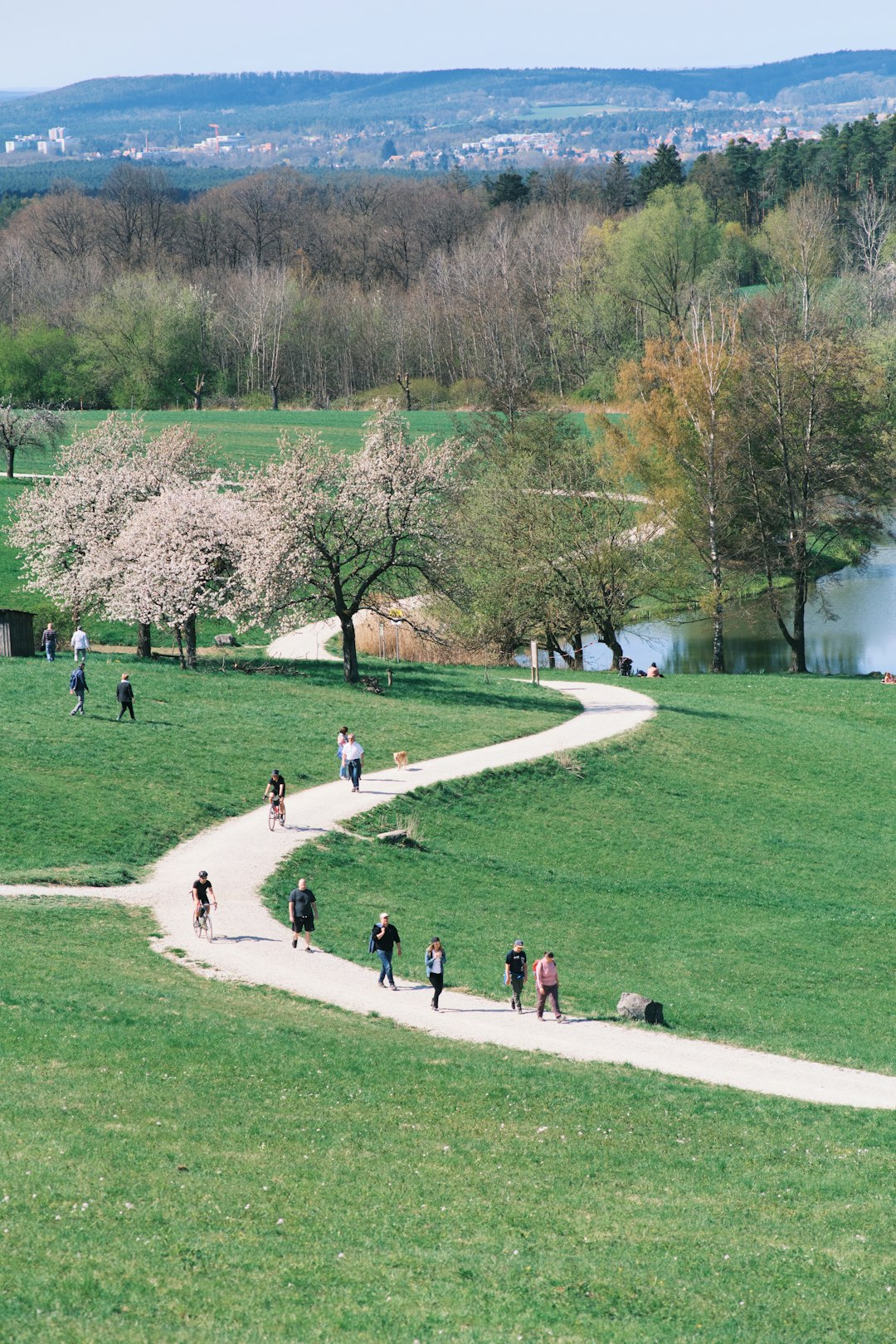 a group of people walking down a path in a park
