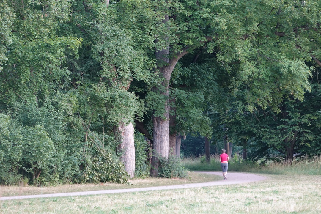 a person walking on a path in a park
