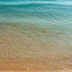 Featured image for 7 Surprising Ways the Beach Benefits Your Brain in 2025
