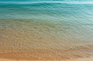 Featured image for 7 Surprising Ways the Beach Benefits Your Brain in 2025