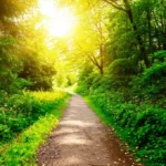 Featured image for 15 Fresh Fitness Nature SEO Terms to Boost Your Reach 2025