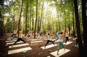 Featured image for 15 Best Wellness Retreats in Nature to Recharge You 2026